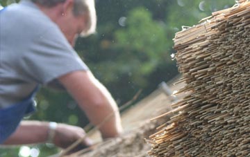 professional Galadean thatchers